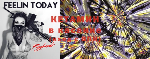 твердый Туринск